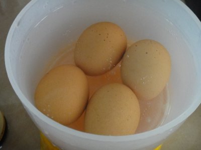 Soft-boiled eggs