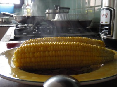 Sweet Corn